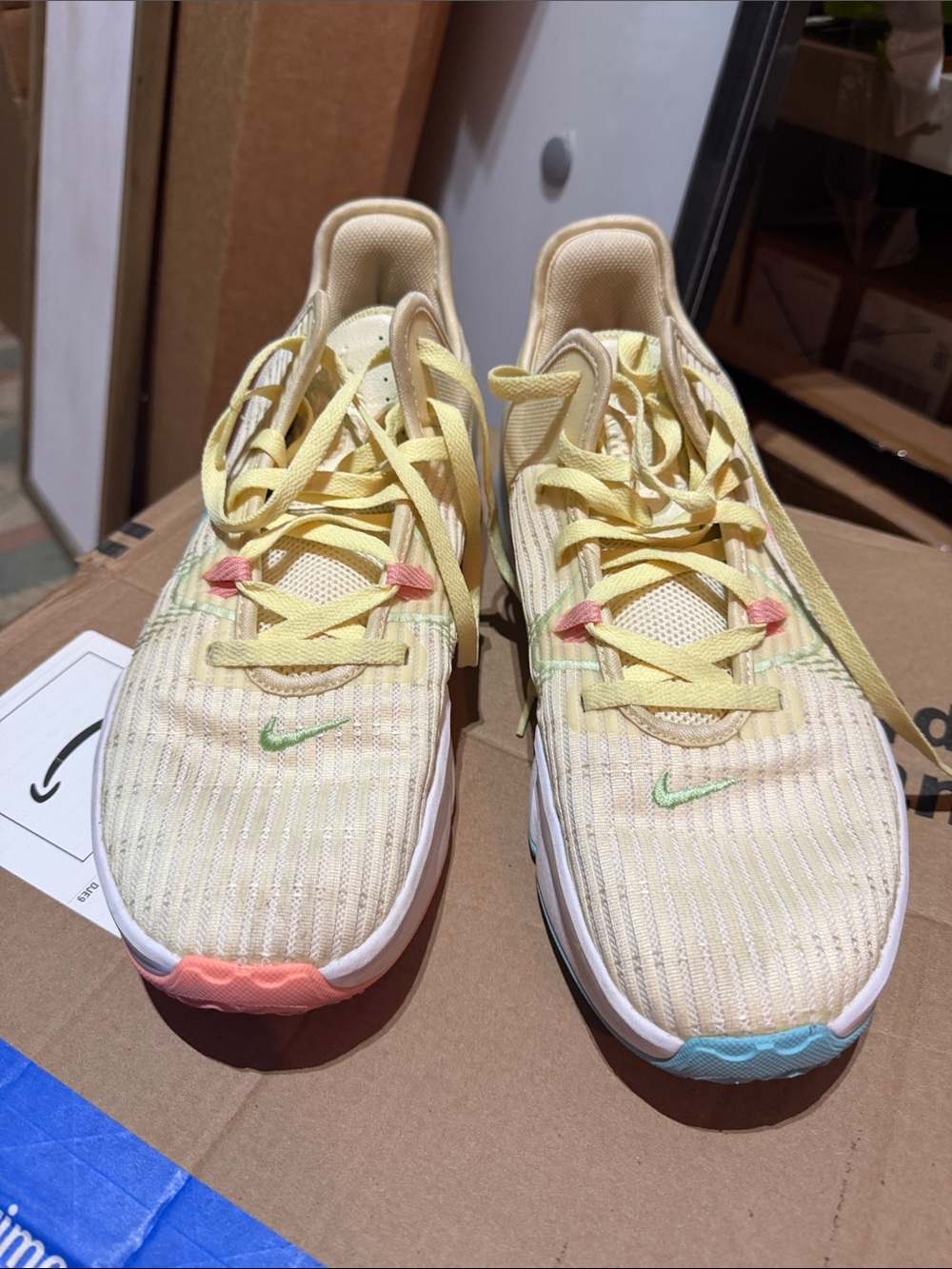 Nike LeBron witness Easter sneakers size 12